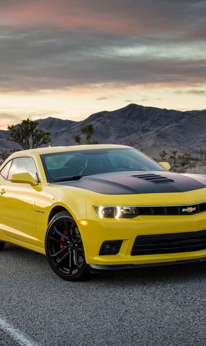 Chevrolet Camaro 1LE