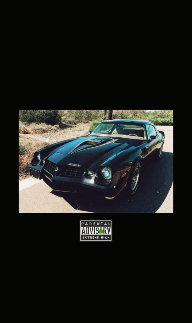 1979 Chevrolet Camaro 