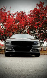 Charger RT red tree