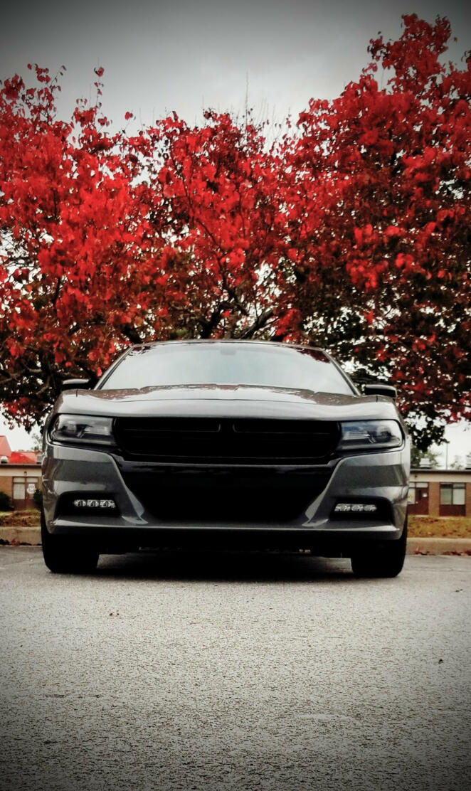 Charger RT red tree