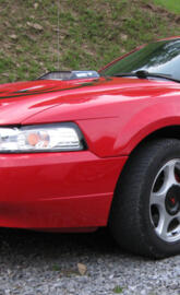 2004 Mustang 40th