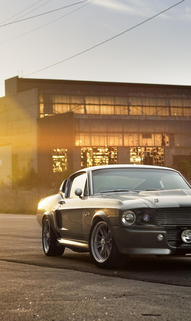 Ford Eleanor