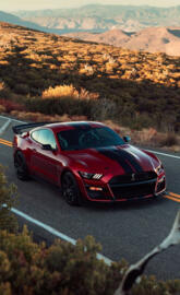 Shelby GT500 2020