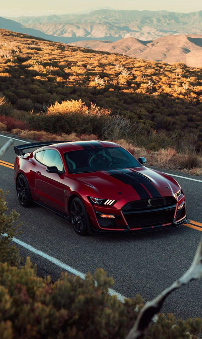 Shelby GT500 2020