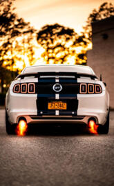 Shelby GT350 mustang