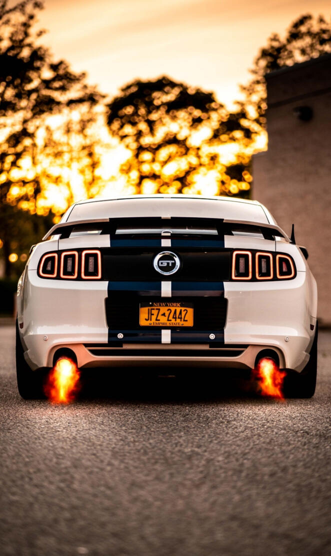 Shelby GT350 mustang