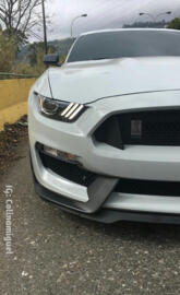 Mustang GT350