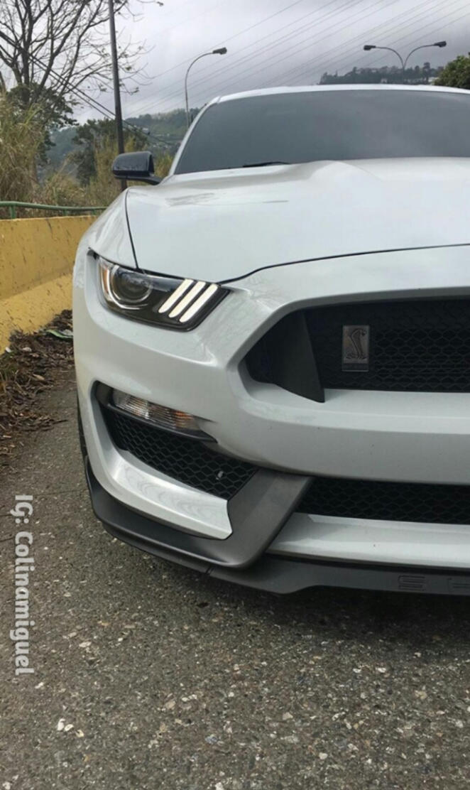 Mustang GT350