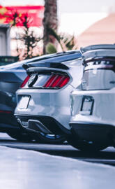 Mustang