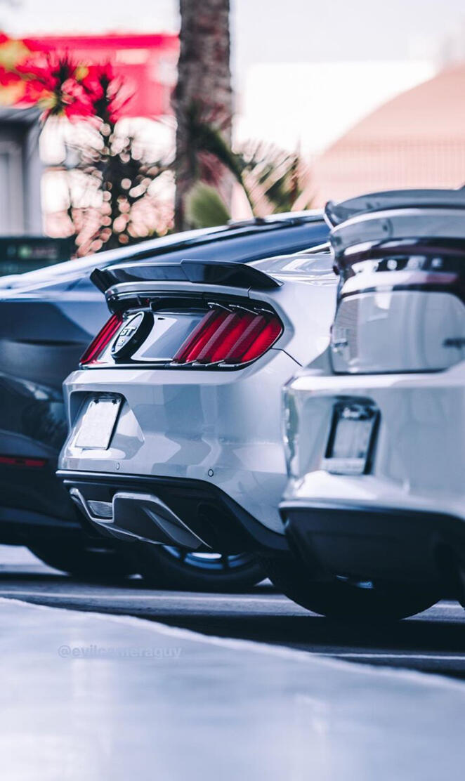 Mustang