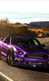 Purple Mustang