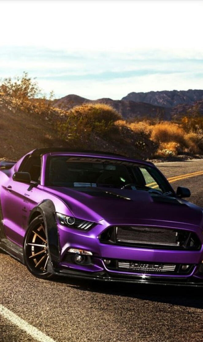 Purple Mustang