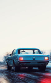 Mustang