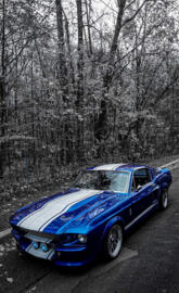 Shelby gt500 1967