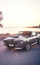 Mustang 3
