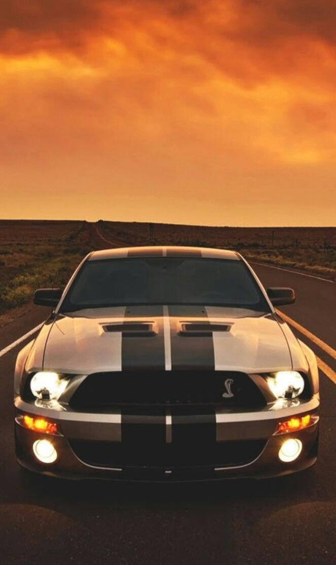 Sunlight Mustang