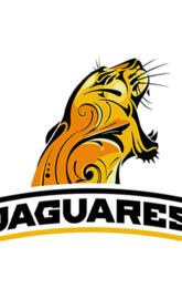 JAGUARES