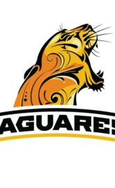 JAGUARES