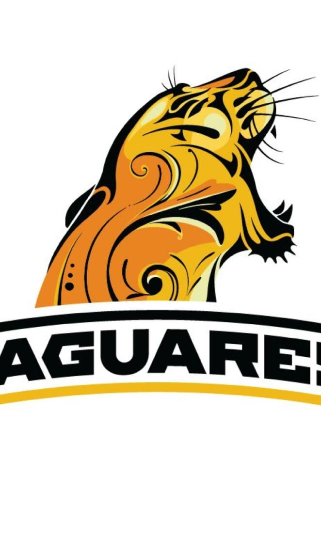 JAGUARES