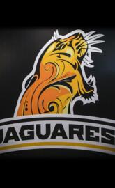 JAGUARES
