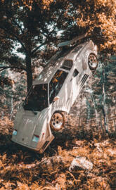 Lamborghini Countach