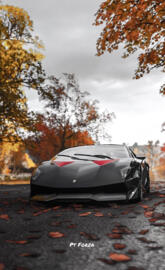 Sesto elemento