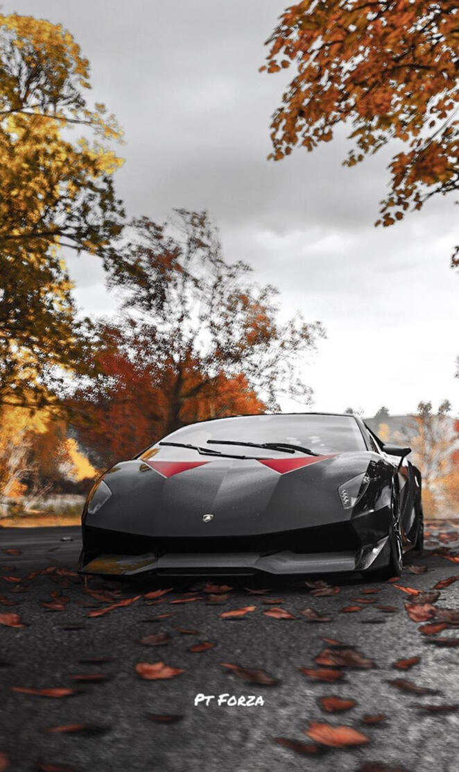 Sesto elemento