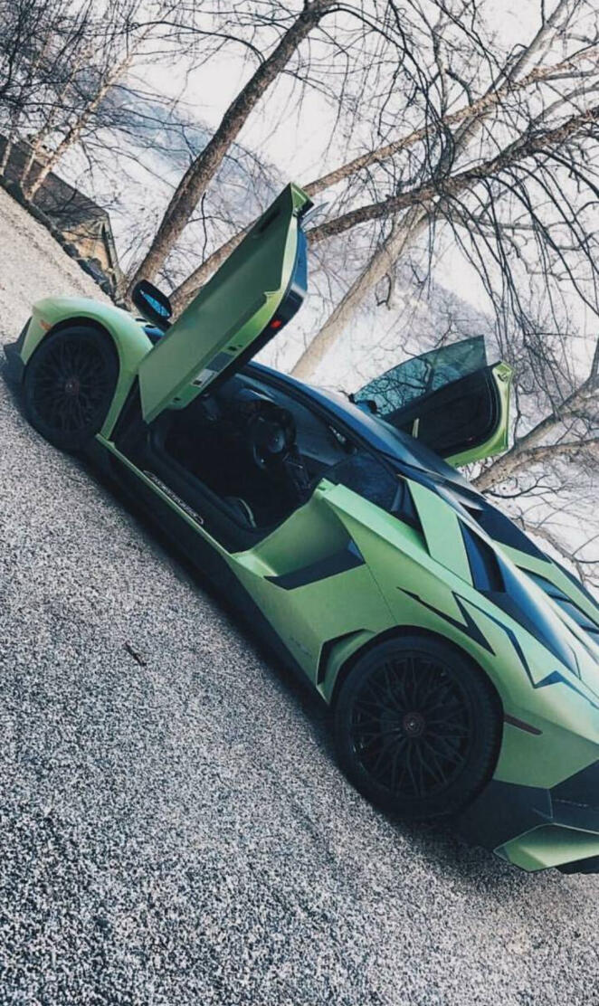 Wild Aventador SV