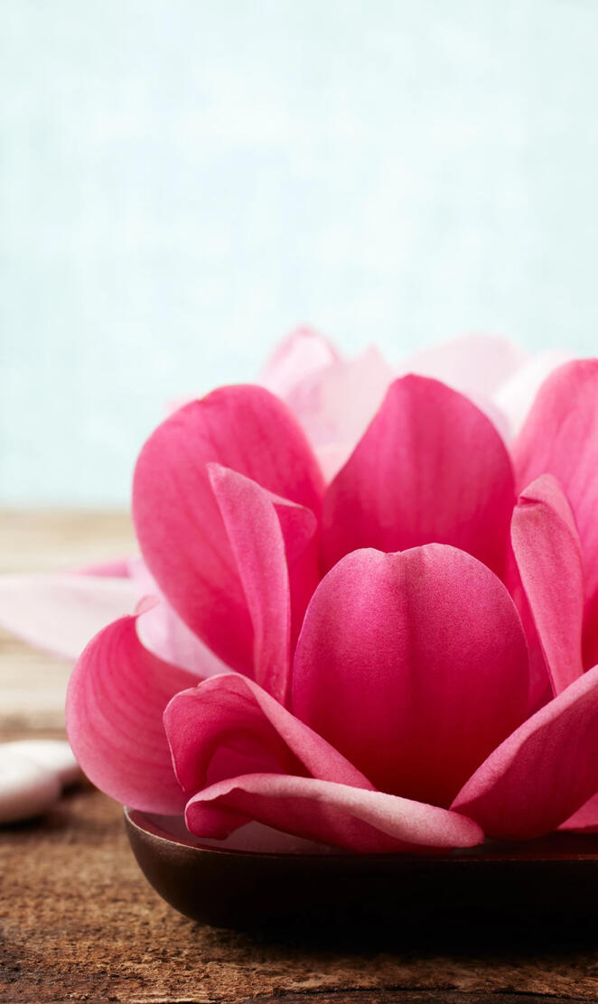 Lotus
