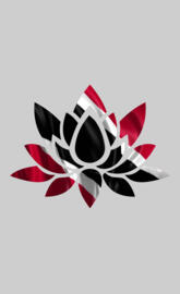 trini lotus