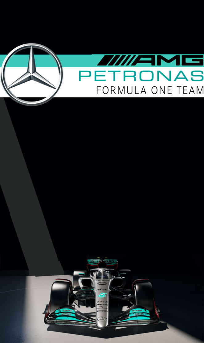 Mercedes F1 Team