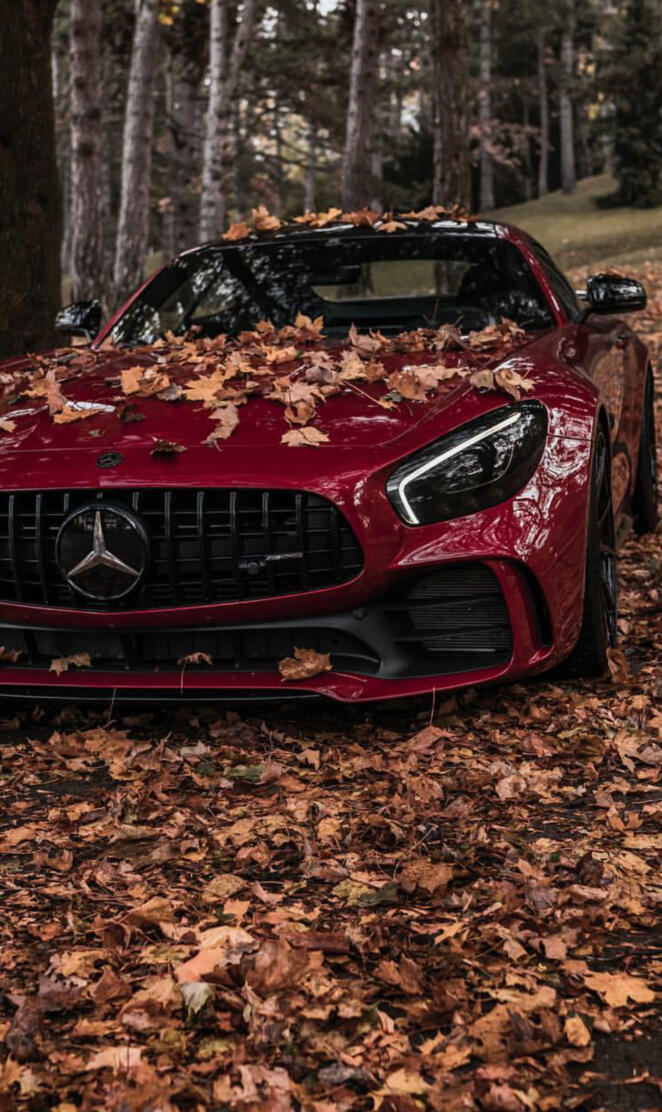 Mercedes AMG GTS