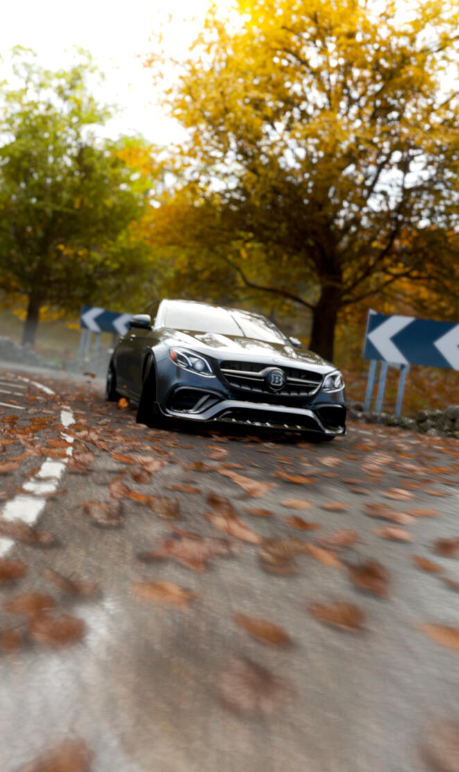 Mercedes E63 S BRABUS 