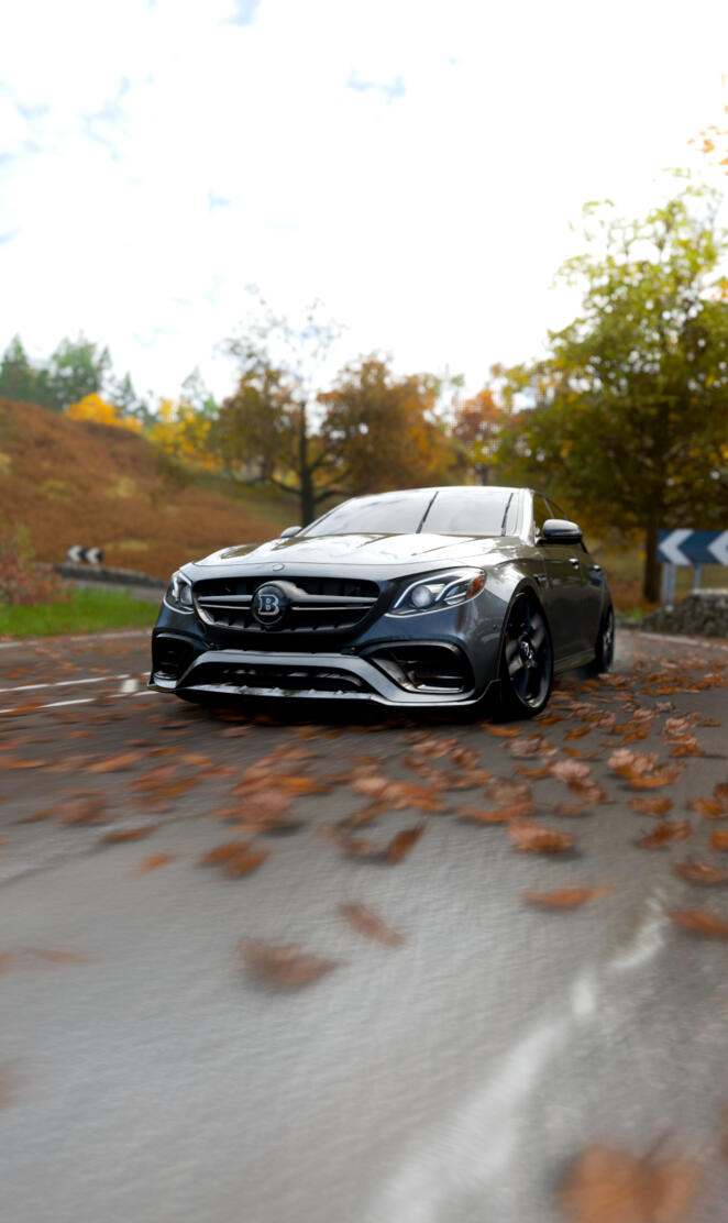 Mercedes E63 S BRABUS 