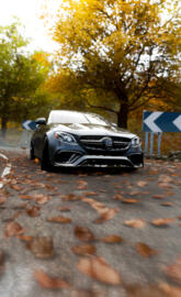 Mercedes E63 S BRABUS 