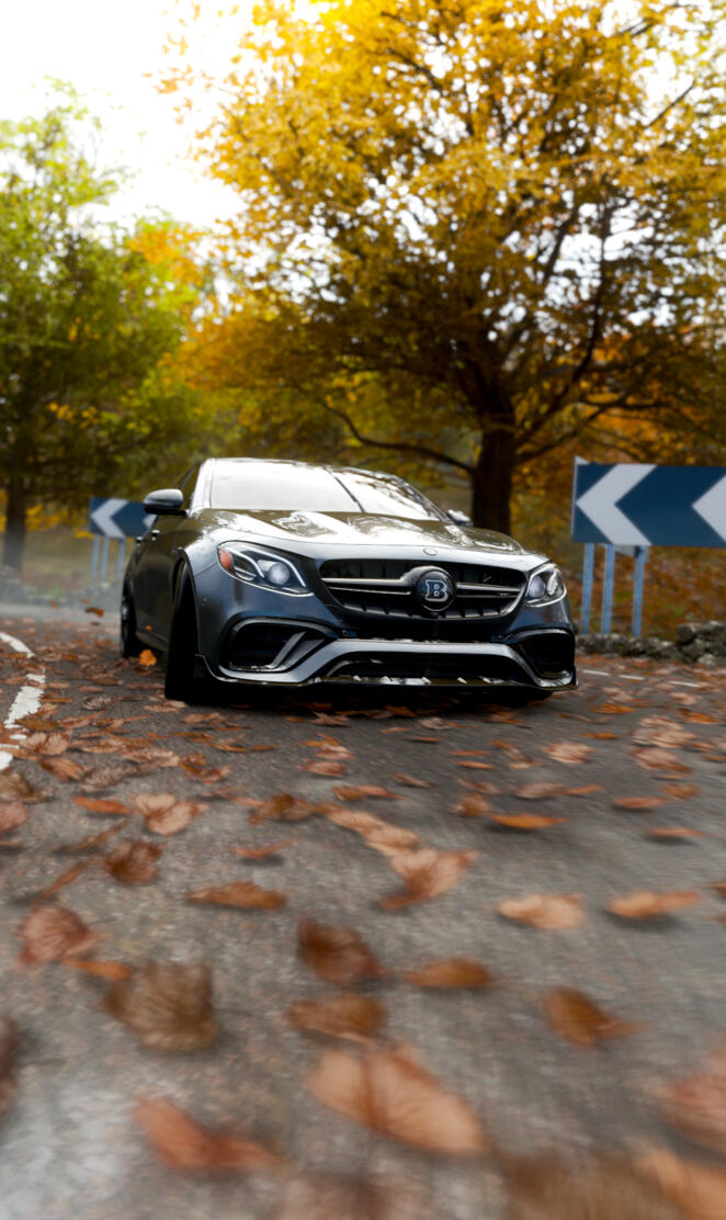 Mercedes E63 S BRABUS 