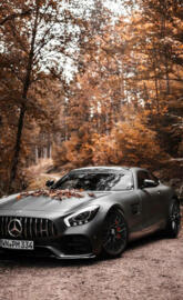 Autumn AMG GT