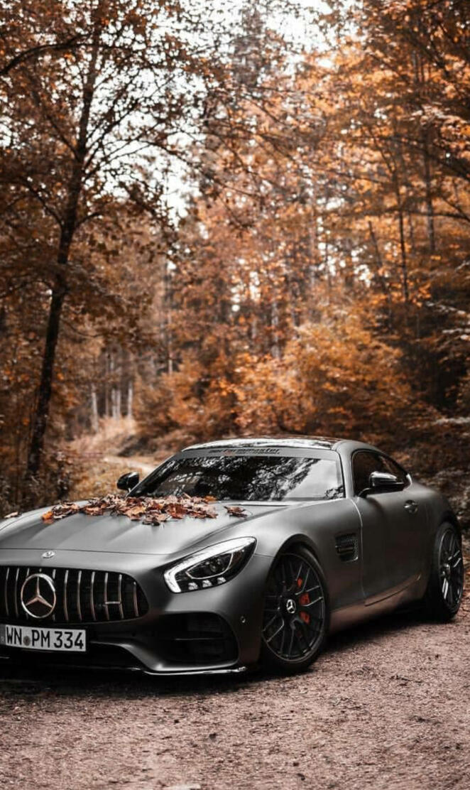 Autumn AMG GT