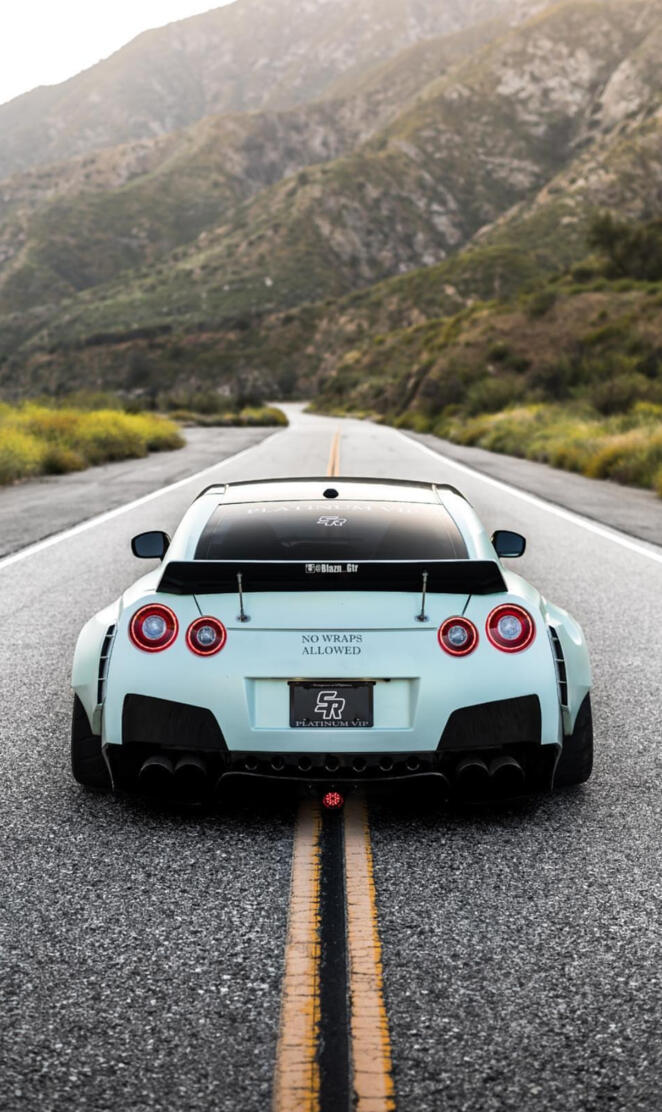 R35 Godzilla