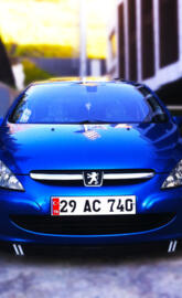 peugeot 307