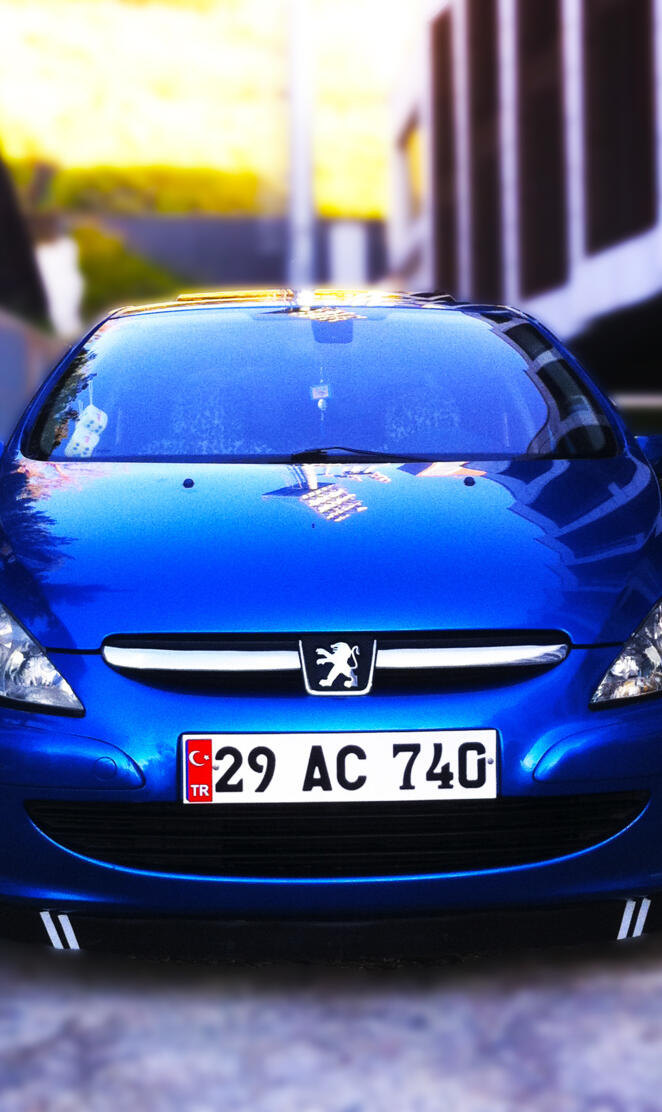 peugeot 307