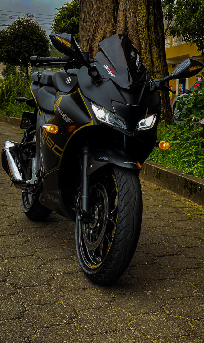 Suzuki Gixxer 250 