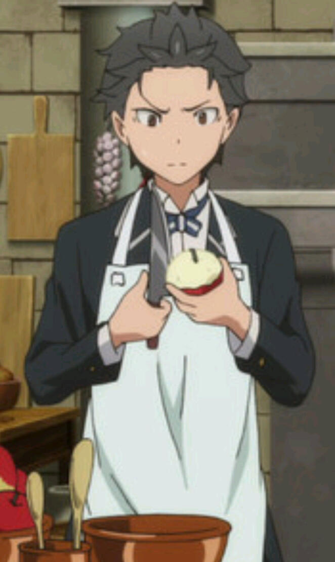 Re zero Ram and Subaru