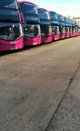 Buses