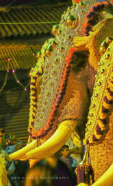 Pooram