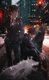 Megumi 柔術 And Aki 鎖