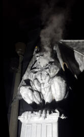 Gargoyle Statue