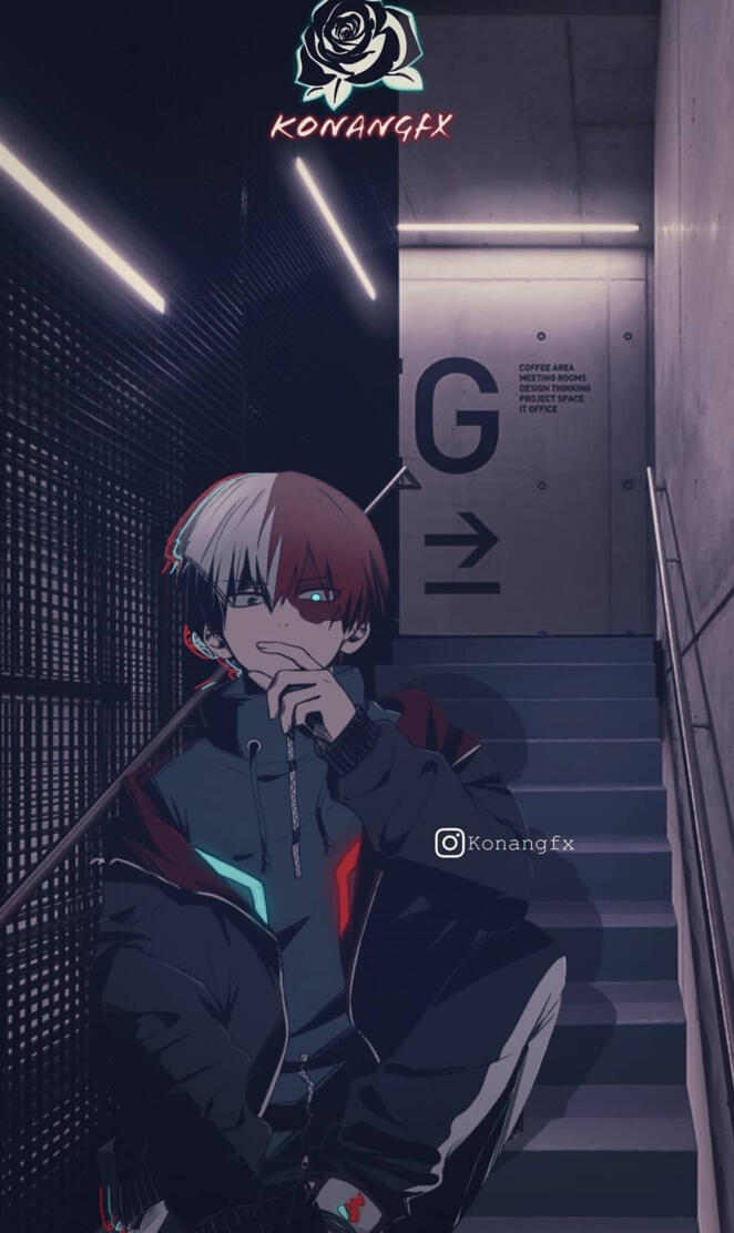 Shoto Todoroki 