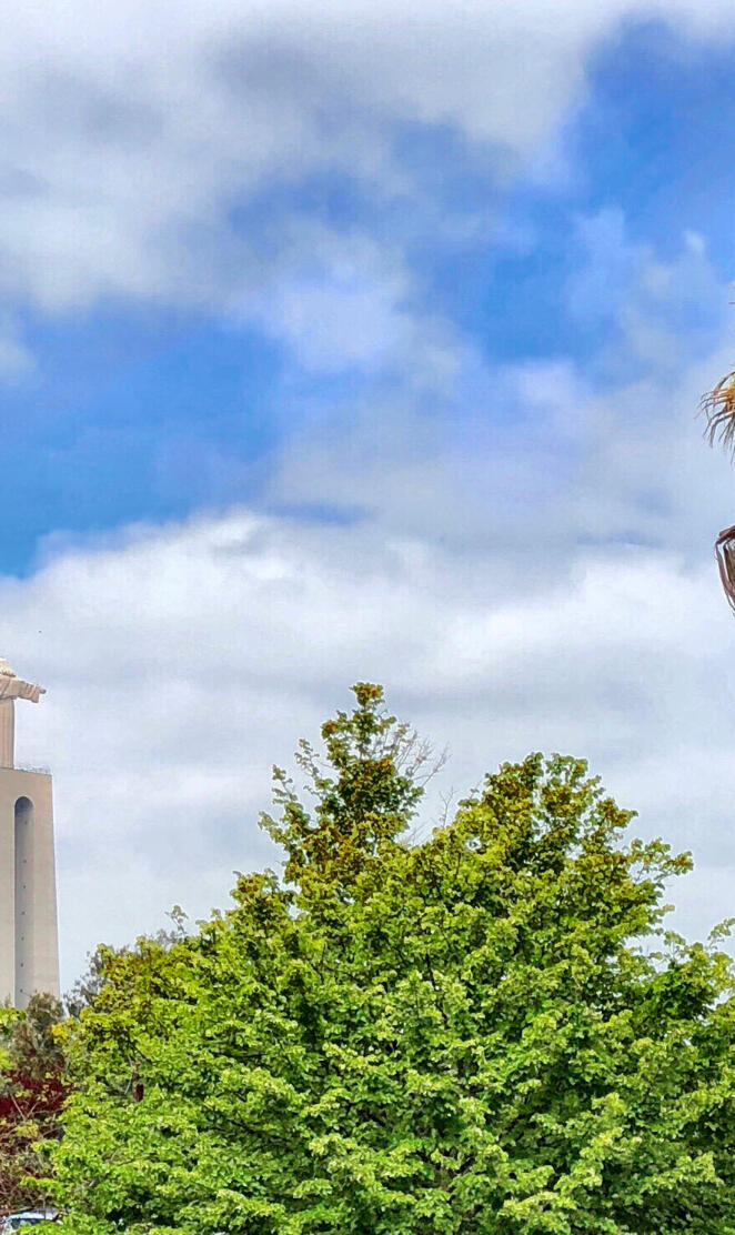 Cristo Rei  Statue