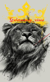 LogoGalatasarayVines